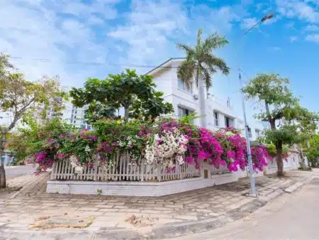 villa-b2-18-thuy-duong-4-long-cung-49