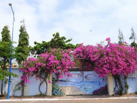 villa-33-mac-thanh-dam-1