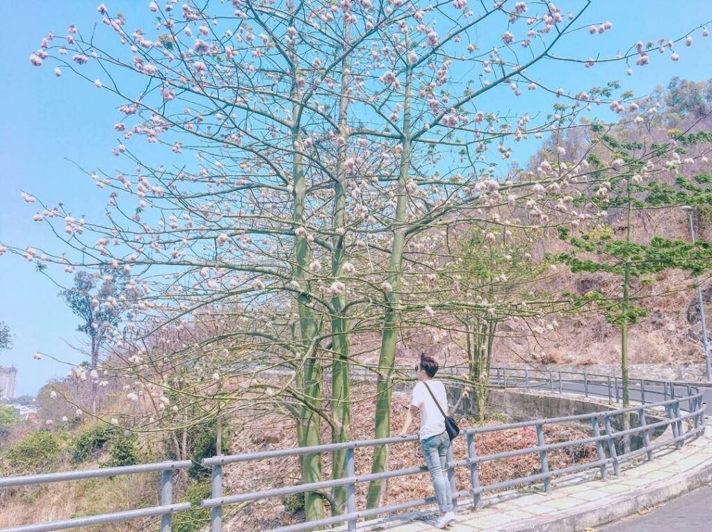 3-ngon-hai-dang-vung-tau