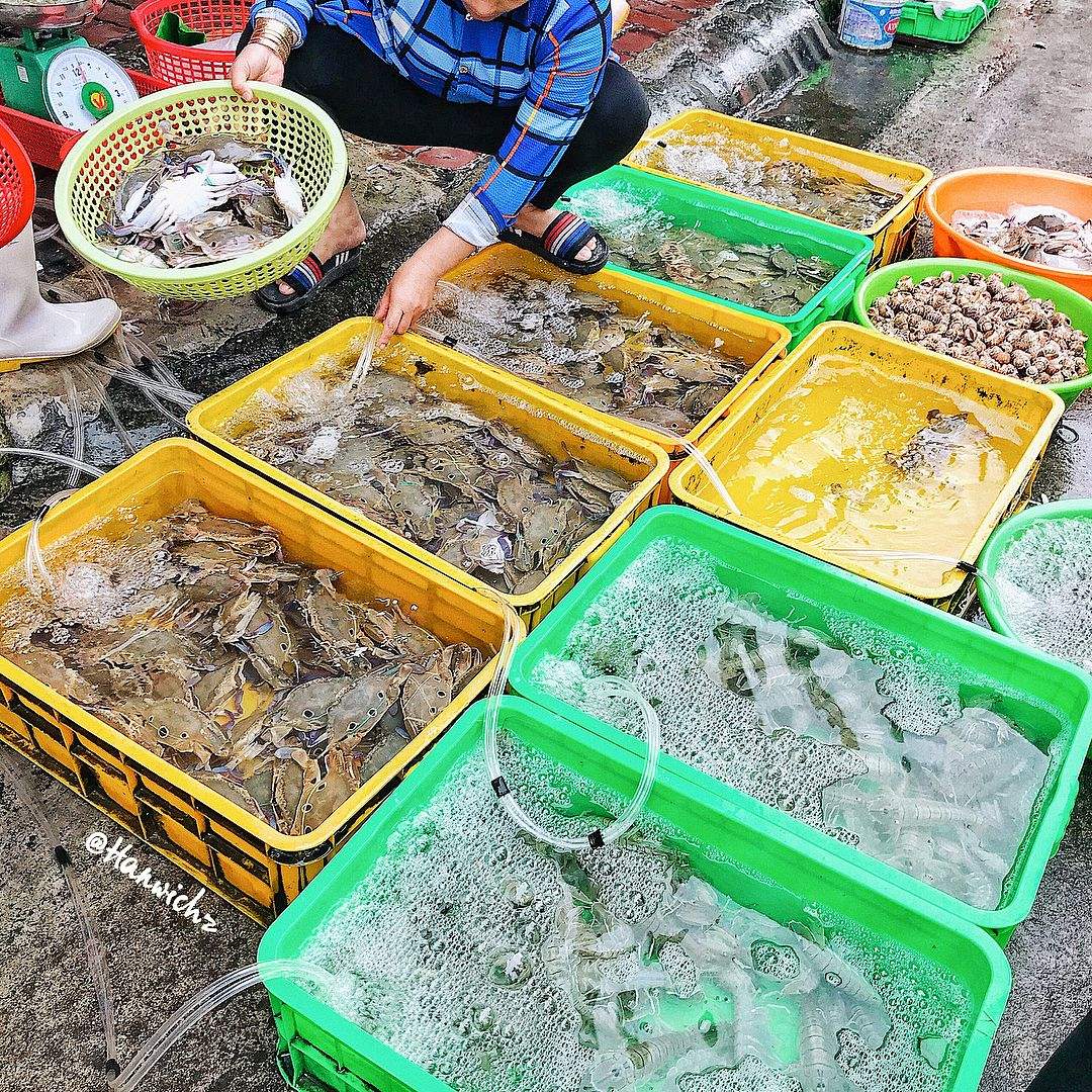 ghe-cho-xom-luoi-vung-tau-roi-minh-cung-rinh-ca-the-gioi-hai-san-tuoi-ngon-ve-nha-nhe-14-1633972167