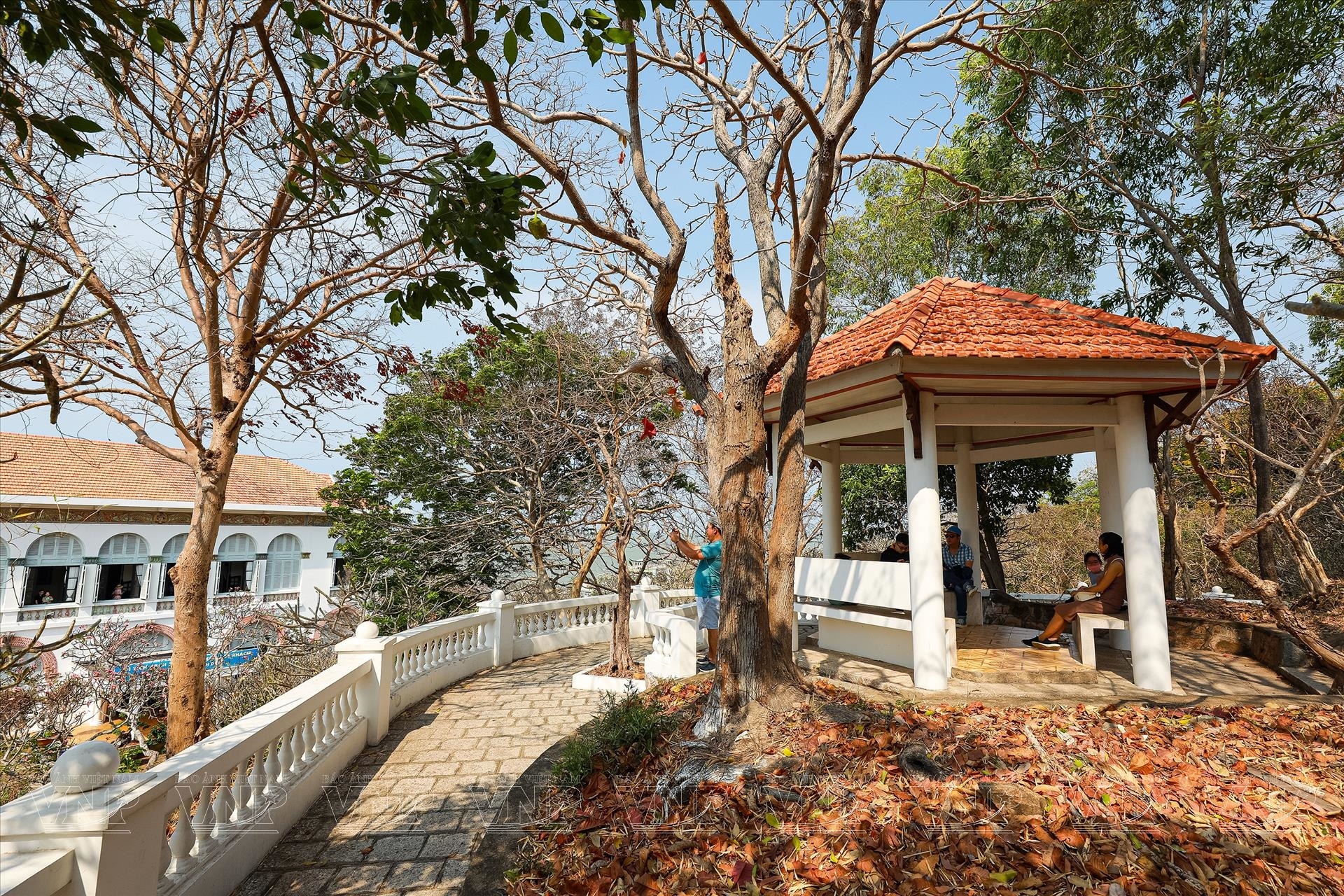 ben-ngoai-bach-dinh-vung-tau-2
