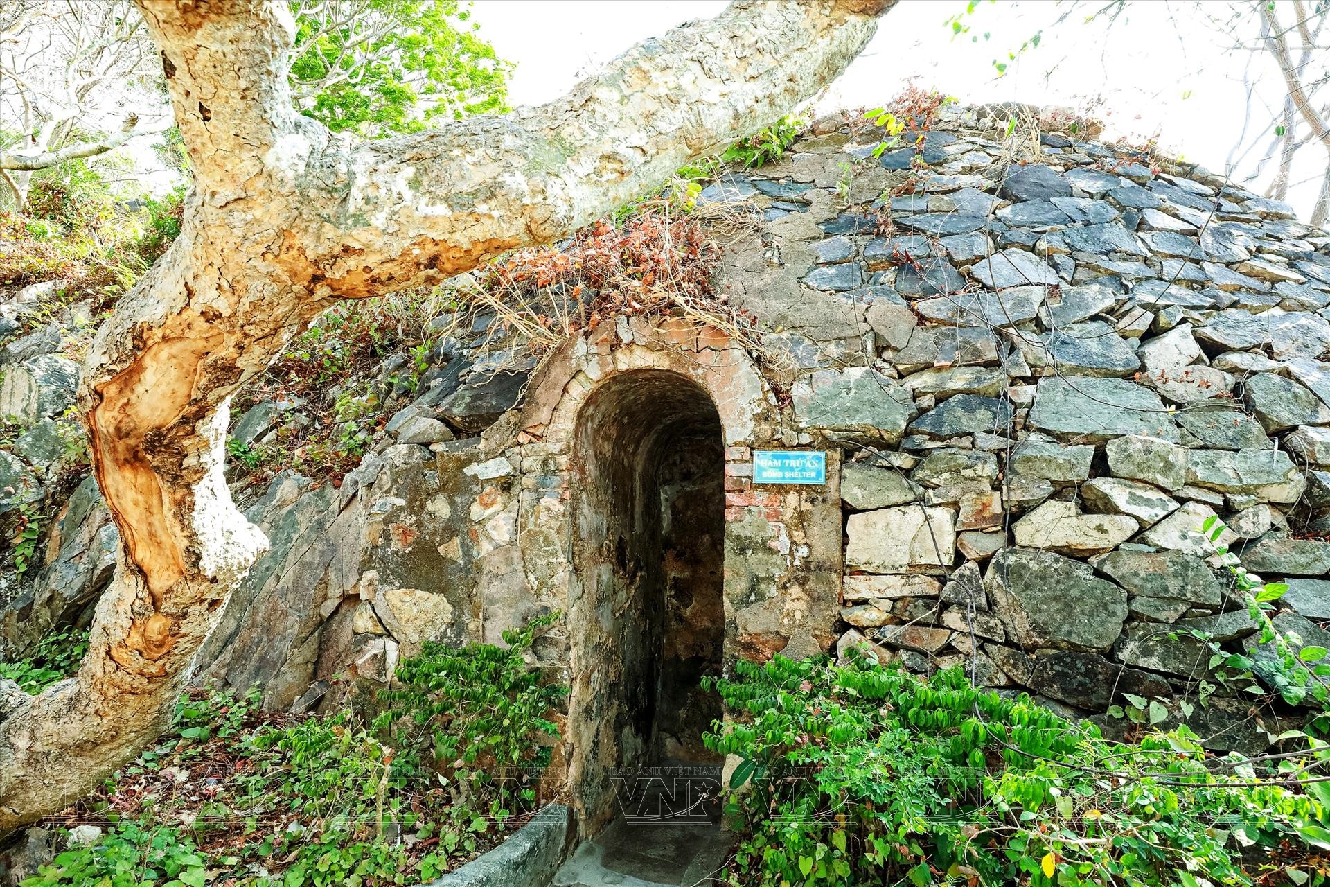 ben-ngoai-bach-dinh-vung-tau-3