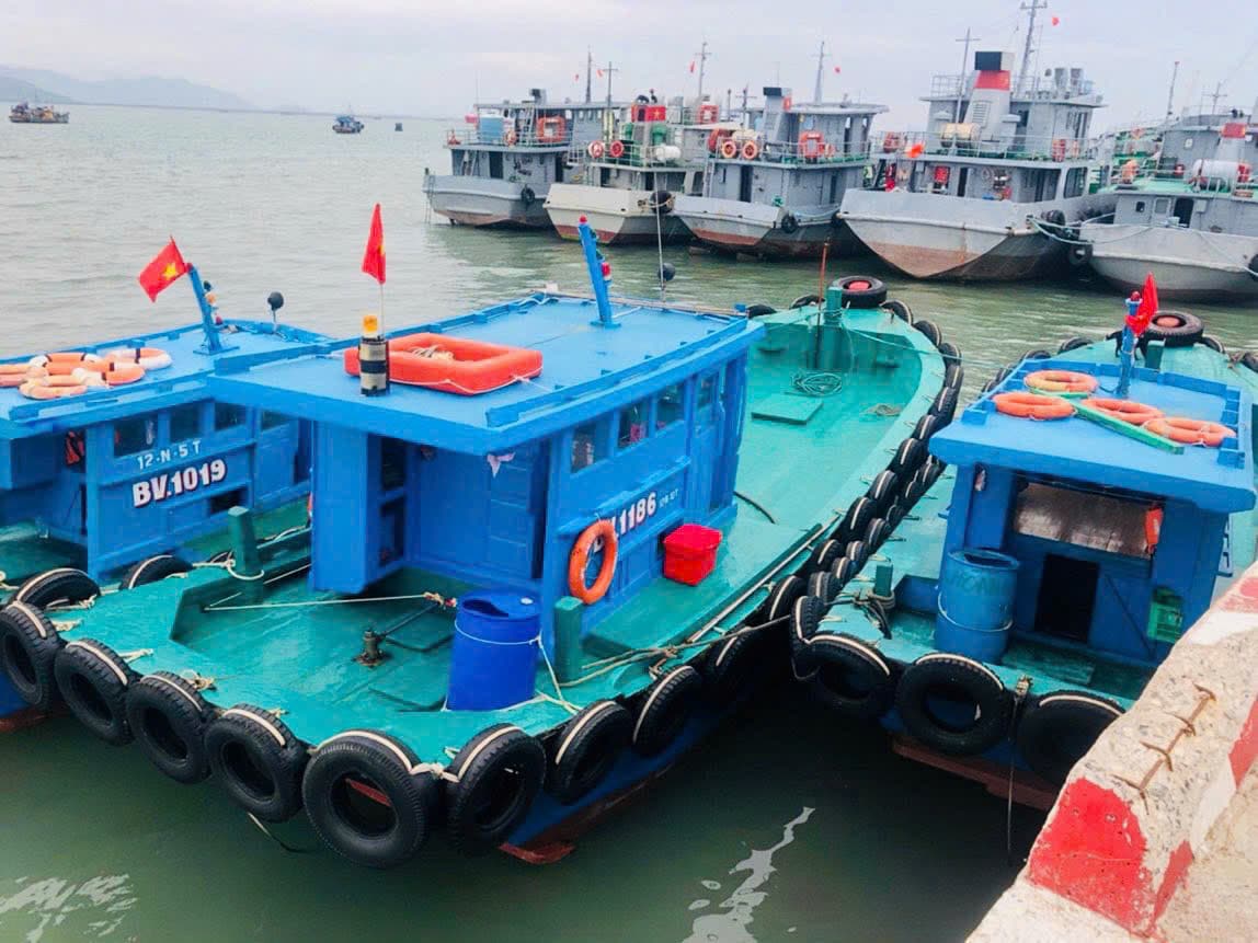 dich-vu-cau-ca-tai-vung-tau-13