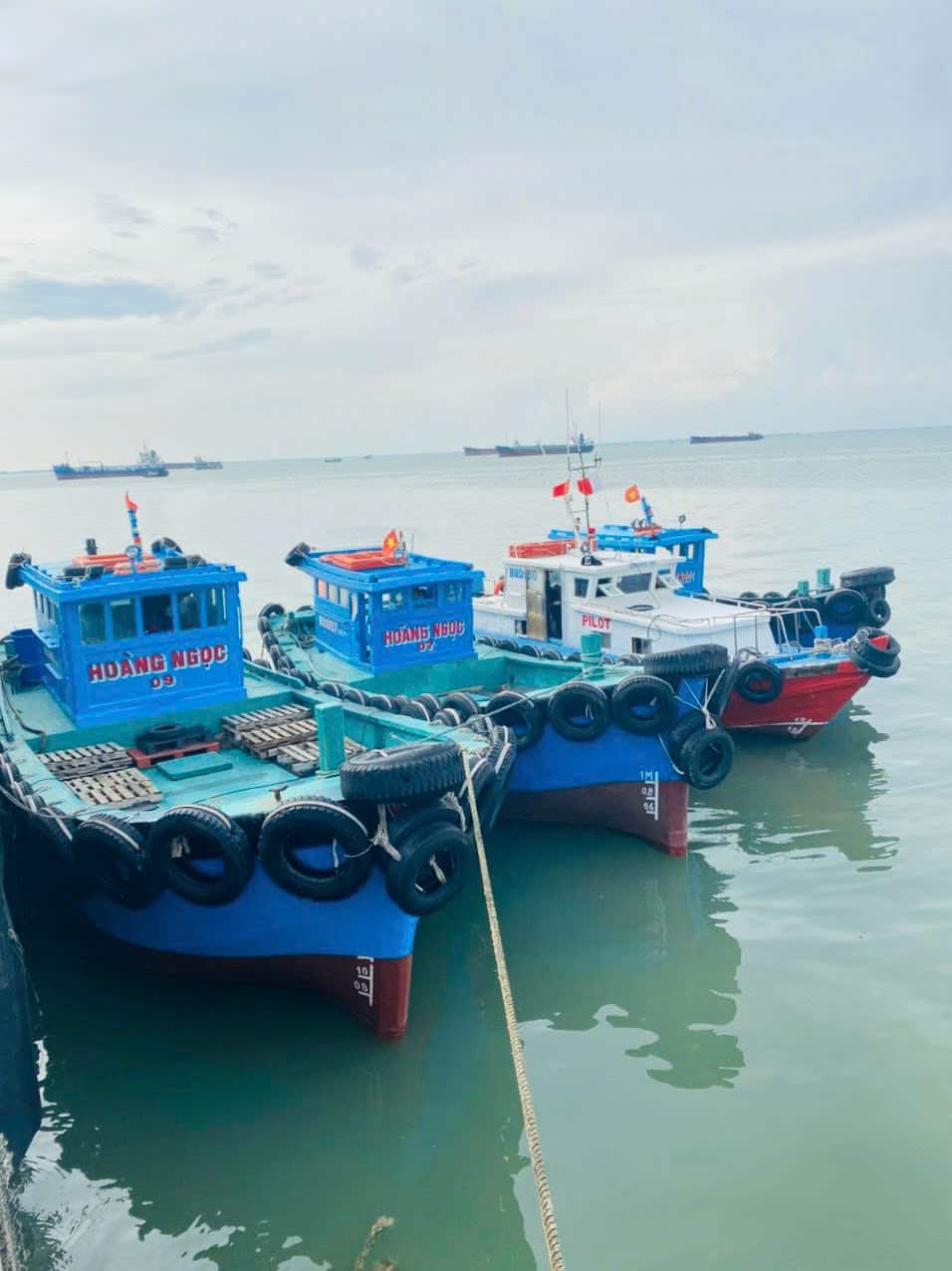 dich-vu-cau-ca-tai-vung-tau-29