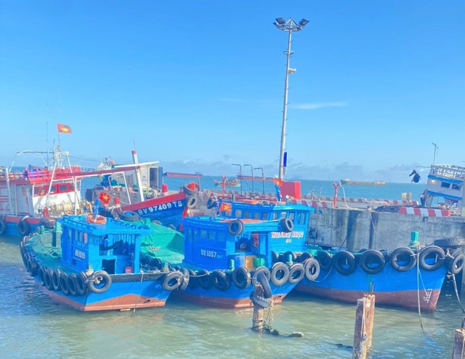 dich-vu-cau-ca-tai-vung-tau-4