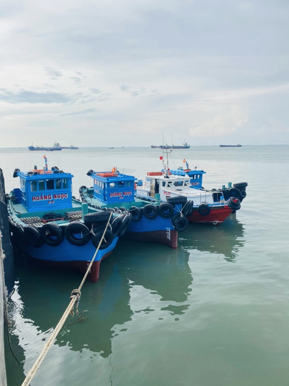 dich-vu-cau-ca-tai-vung-tau-7